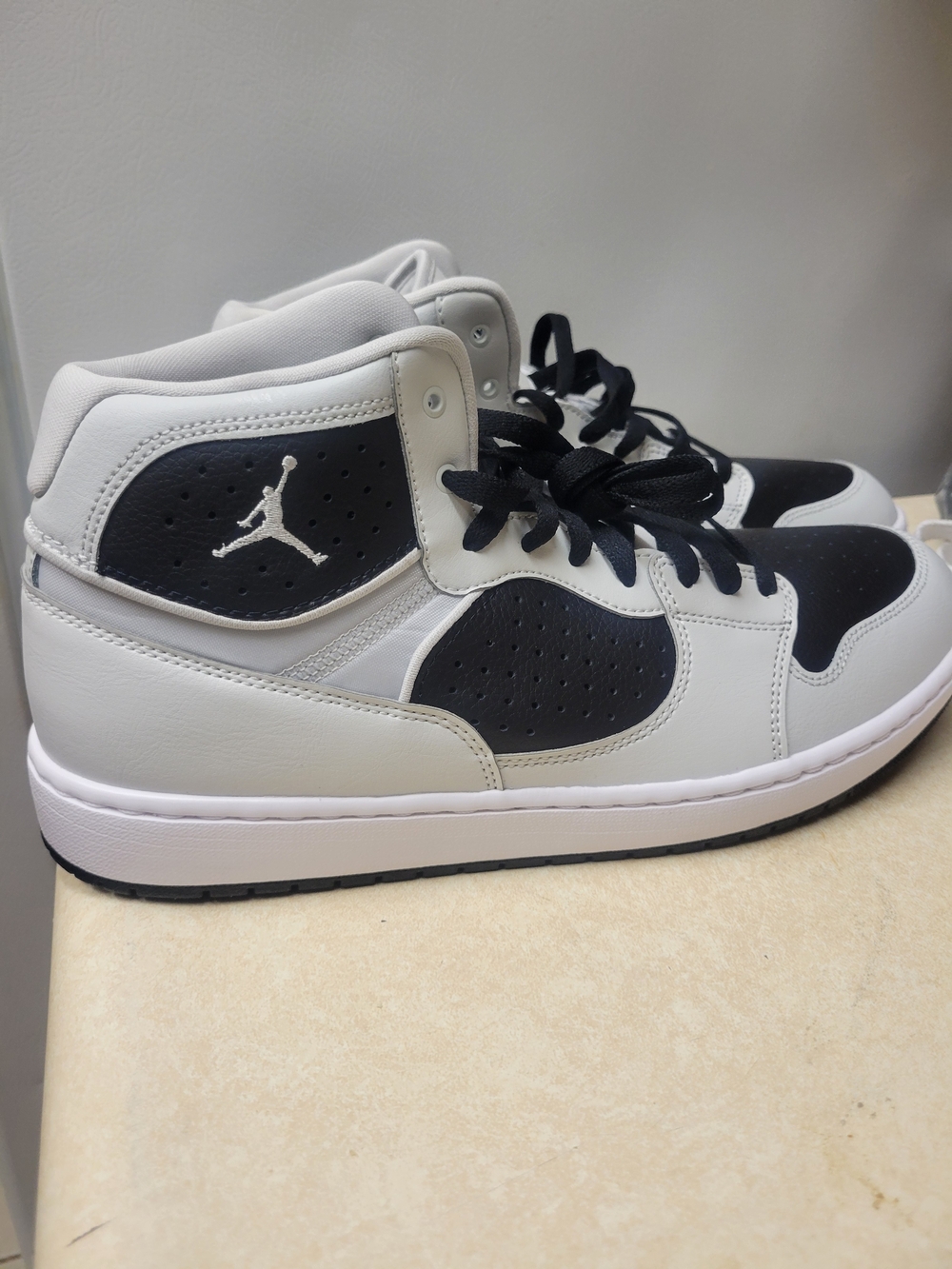 Nike Jordan Mid-Top Sneakers in Black and Light Gray